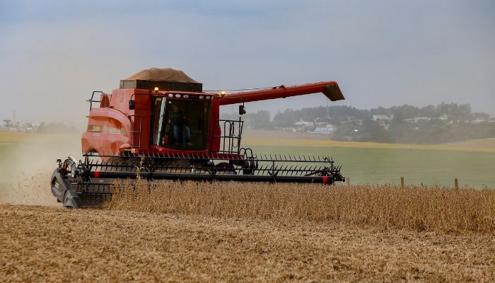 Foto: Gilson Abreu/Arquivo AEN Chuvas do início de novembro provocam adaptações na agricultura paranaense